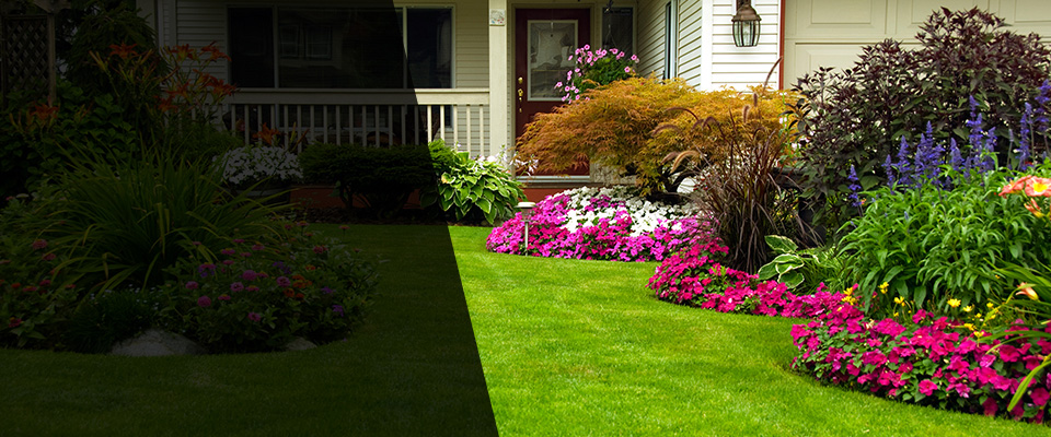 Pineville Landscapers