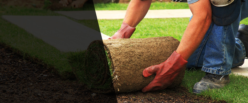 Pineville Landscapers